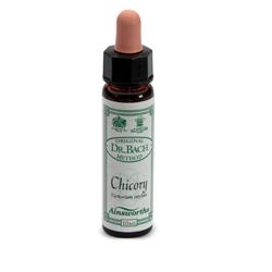 AINSWORTHS CHICORY 10ML